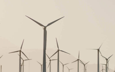 Succesvolle netwerkbijeenkomst brengt ondernemers samen