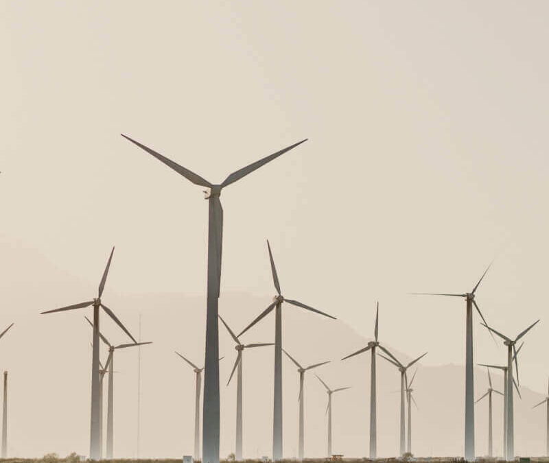 Succesvolle netwerkbijeenkomst brengt ondernemers samen