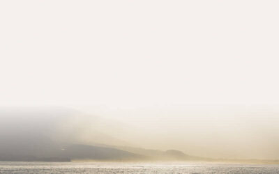 Extra aandacht voor veiligheid op Zoeterhage