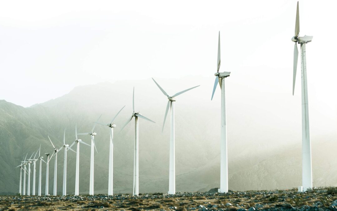 Nieuwe initiatieven voor een duurzaam en veilig bedrijventerrein